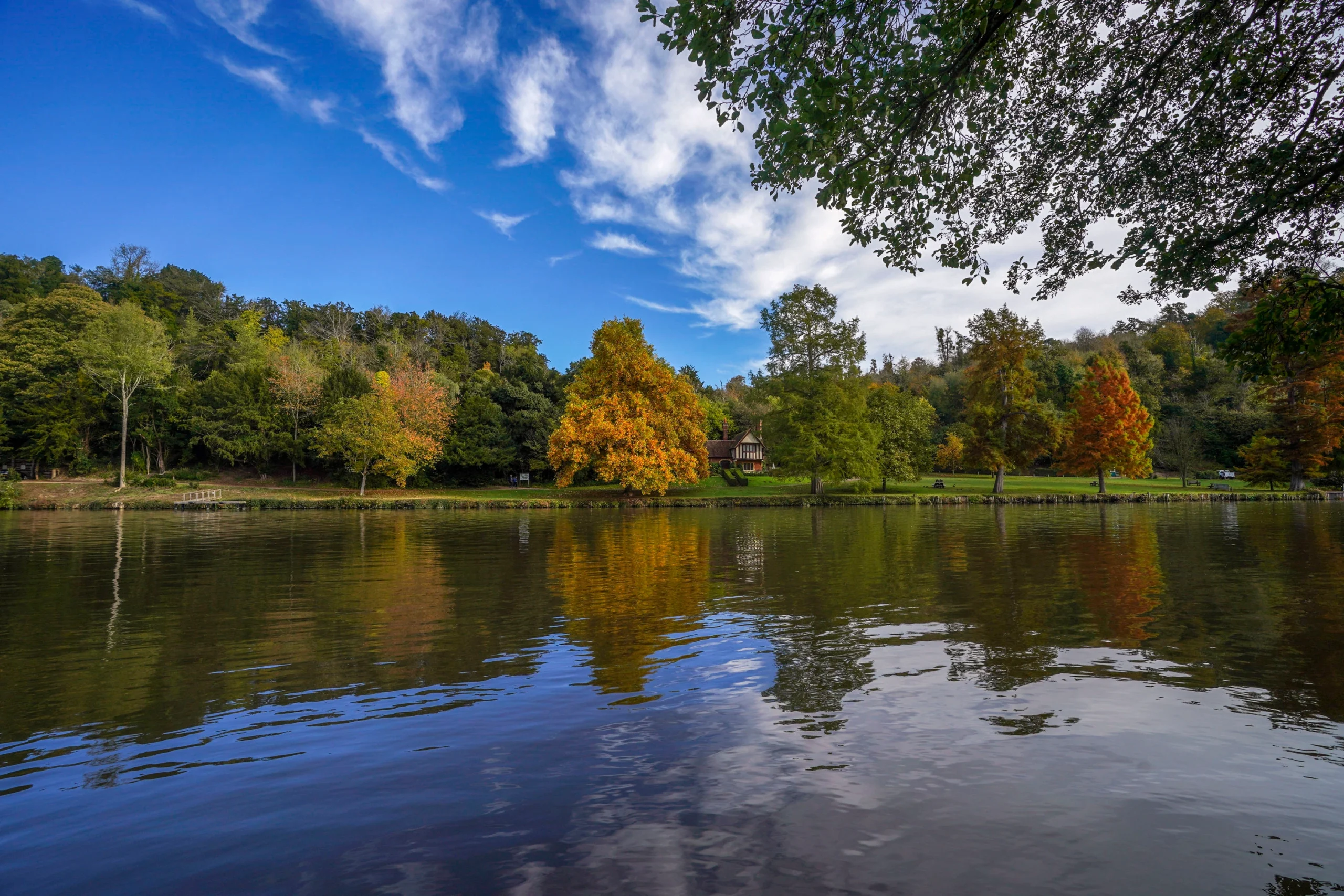 The river Thames with green trees in the distance.